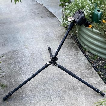 279180139_10227436837655772_103330801515547110_n