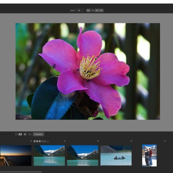 A brief history of RAW editors