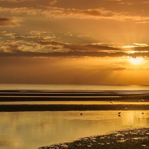 White Balance and Color Correction