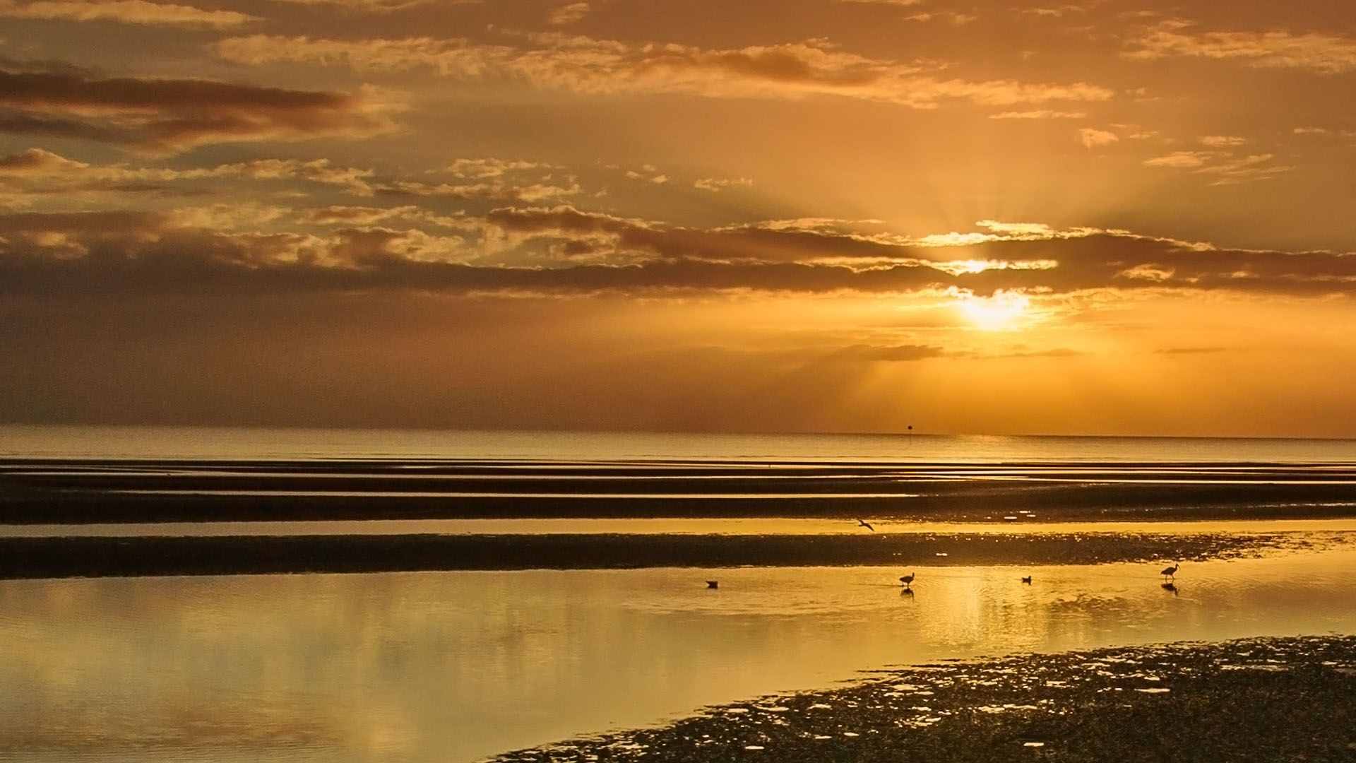 White Balance and Color Correction