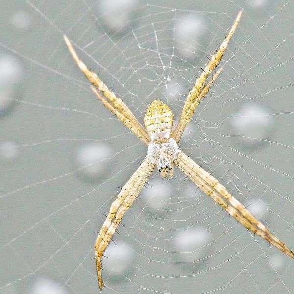 Even more macro photography