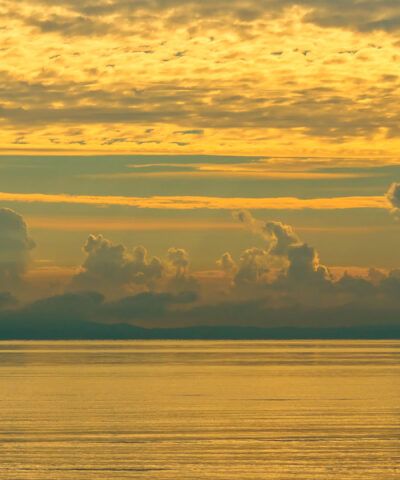 Its all about the light